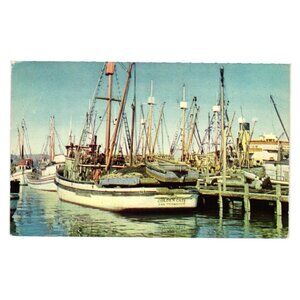 Vintage Fishermans Wharf Boats San Francisco Color Postcard SF 14 Mirro Card